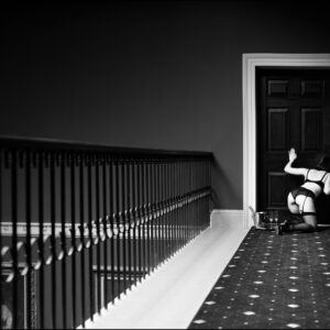 Limited Edition “What the Butler saw” £450